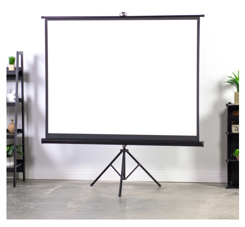 Projector Screen 120&quot; Tripod