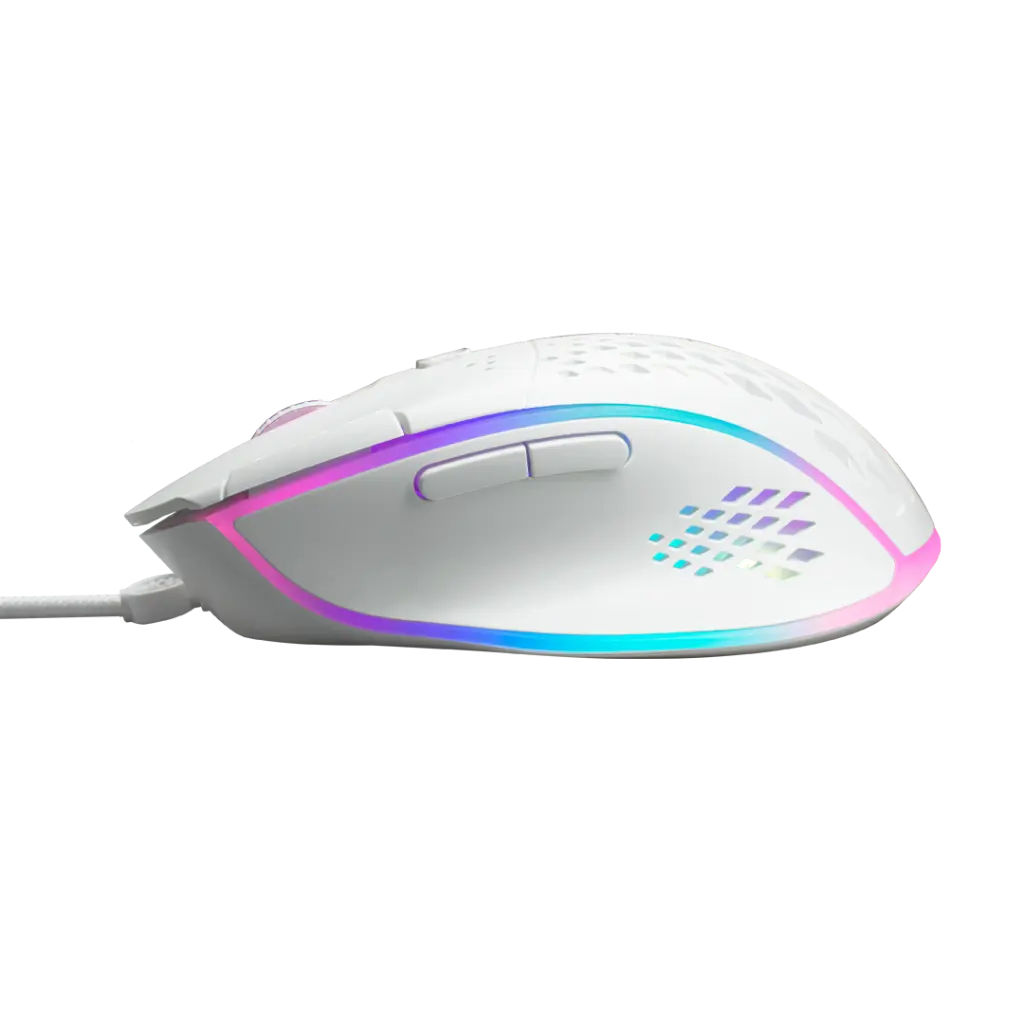 PNG_X42_SD_W_04.webp