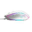 PNG_X42_SD_W_04.webp
