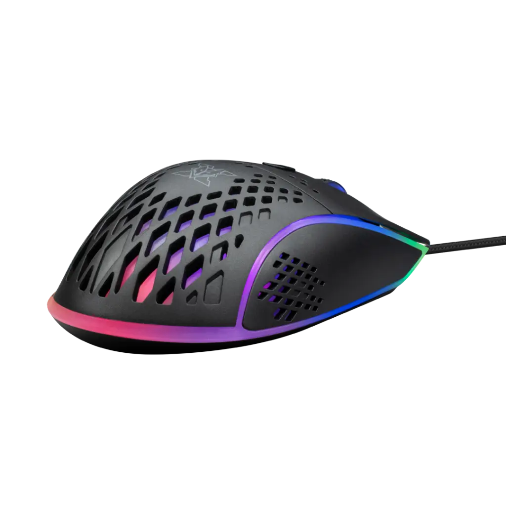 PNG_X42_SD_B_07.webp