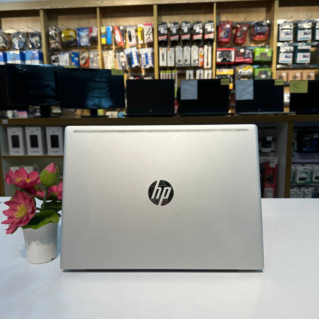 HP ProBook 440 G6 (i5 8th Gen, 8GB, 128GB SSD + 500GB HDD, 14")