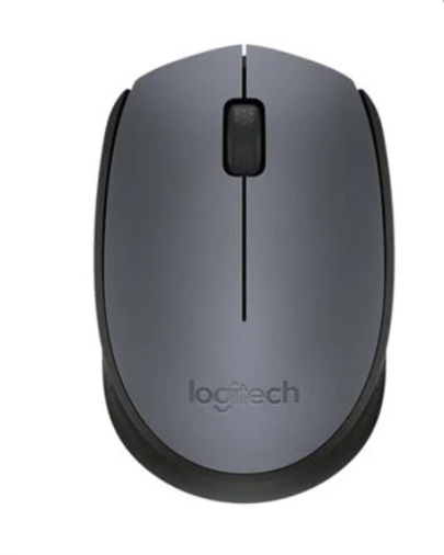 Logitech M-171 Wireless Mouse