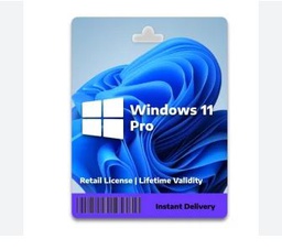 [300902] Window 11 Pro License Key (1 PC, Lifetime)