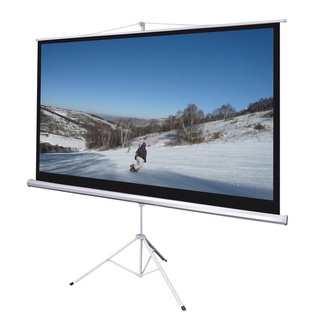 Nippon Projector Screen 70" x 70" Tripod